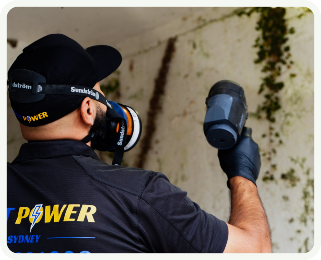 Termite Inspection