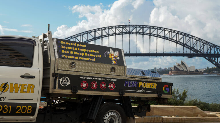 Pest Control Surry Hills: Why Apartments and Terrace Houses Need a Completely Different Approach