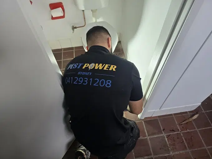 Pest Control Treatment